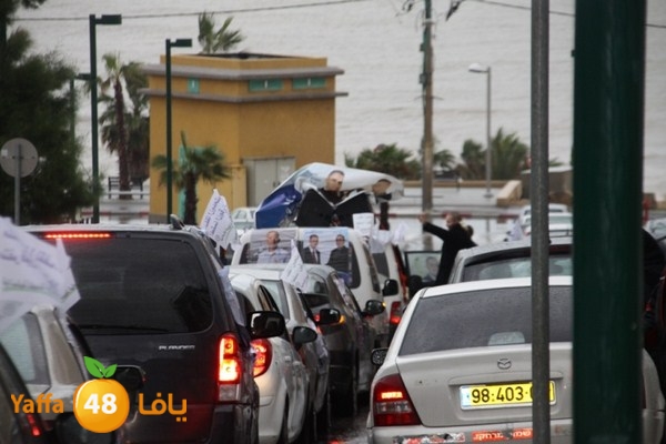 qafela sayarat haiywa (30).JPG